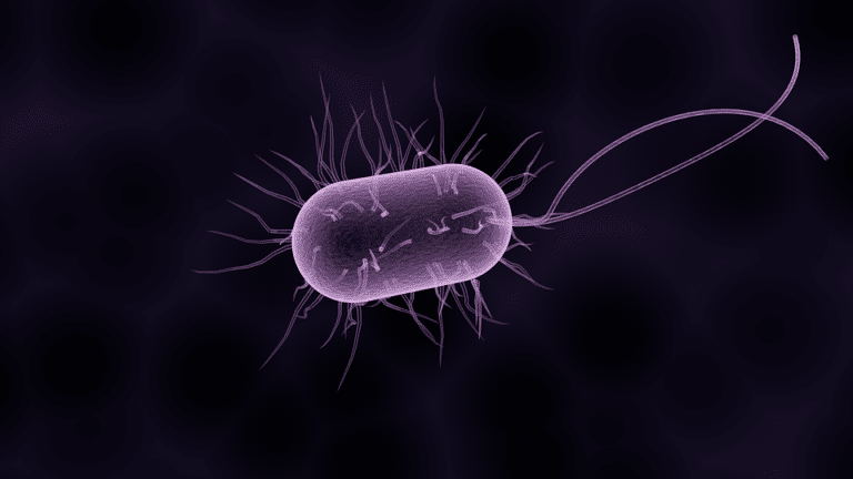 Fasciite nécrosante visage : signes, traitements et antibiotiques