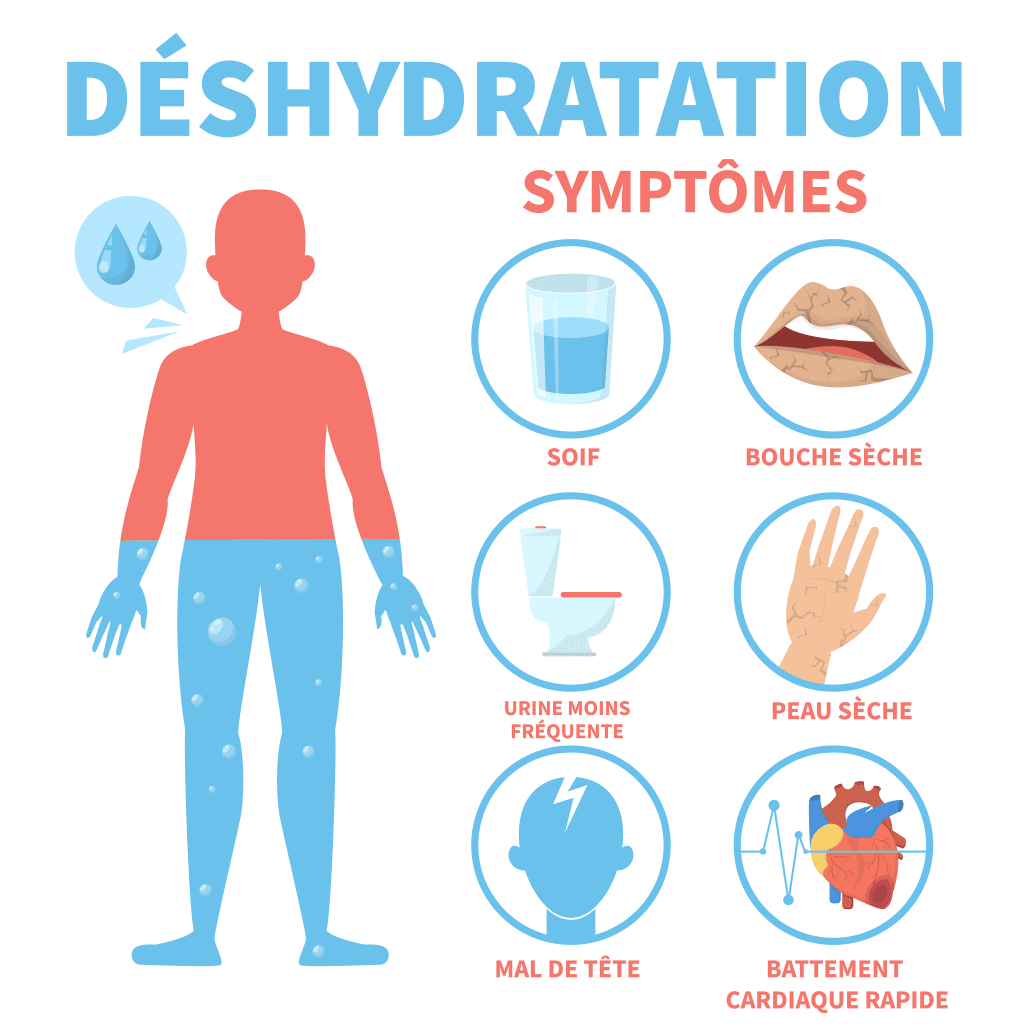 Symptômes de la déshydration – Crédit : informationhospitaliere.com